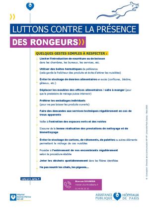 Affiche A3 Lutte Contre La Presence De Rongeurs Spr