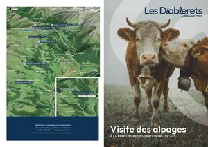 Alpages aux Diablerets