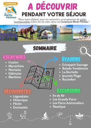 Que Faire Dans Le Marais Poitevin Martin Pêcheur