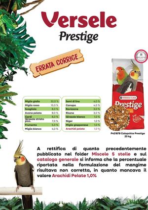 Presentazione Standard1