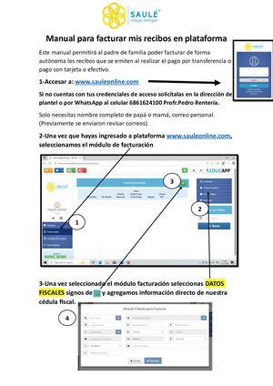 Manual Facturar En Plataforma Saulé