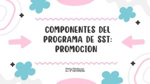 Componentes del programa de SST:  Promocion