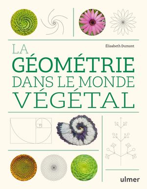 La géométrie dans le monde végétal