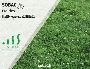 Livret Prairies Multi Espèces Et Méteils V1 04 2024