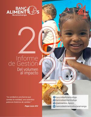 2025informe Def