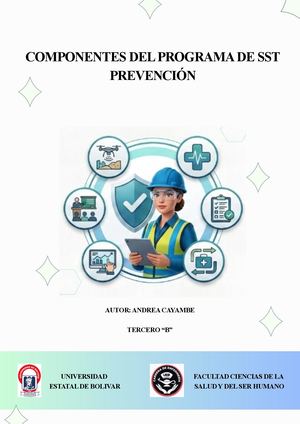 Componentes del SST