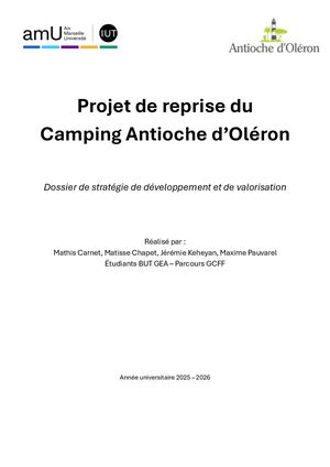 Sae Reprise Entreprise
