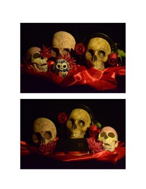 Vanitas De Calaveras