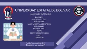 Decreto Ejecutivo 2393