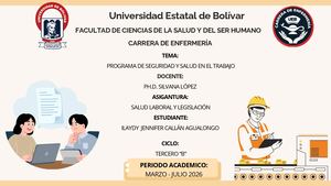 Programa De Seguridad Y Salud En El Trabajo