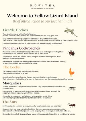 Animals Of Moorea