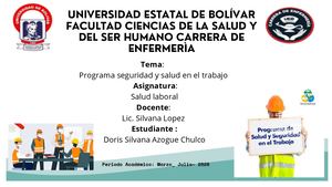 Programa seguridad y salud en el trabajo