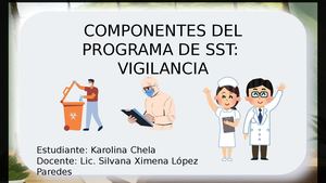Componentes Del Programa De Sst Viglancia (1)