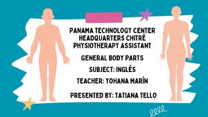Centro Tecnologíco De Panamá Sede Chitré Asistente En Fisioterapia Materia Inglés Profe Yohana Marín