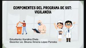 Componentes Del Programa De Sst Viglancia (1) Pptx (