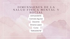 Dimensiones De La Salud Fisica Mental Y Social