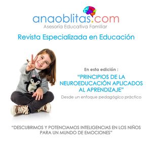 Principios de la Neuroeducación aplicados al aprendizaje