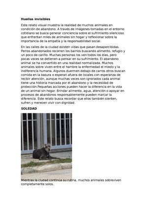 Comunicación Y Relató Visual