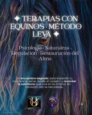 Leva Caballos