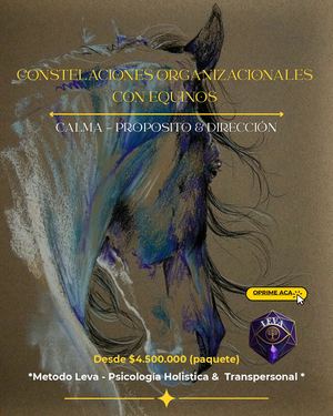 CONSTELACIONES ORGANIZACIONALES CON EQUINOS