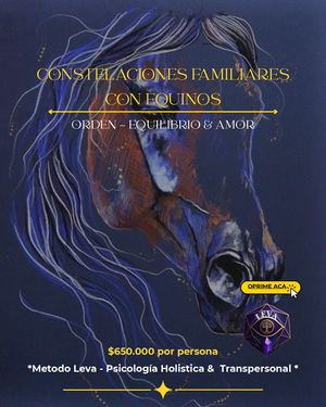 CONSTELACIONES F AMILIARES CONSTELACIONES F AMILIARES CONSTELACIONES F AMILIARES CON EQUINOS