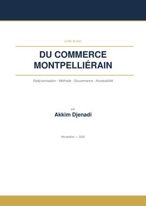 Livre blanc du commerce montpelliérains