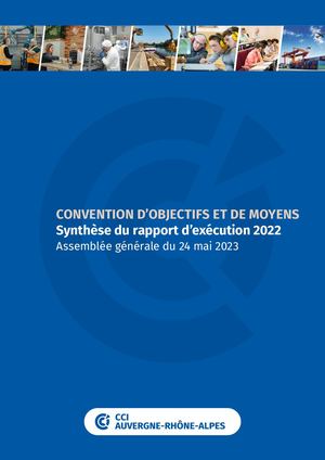 Rapport d'exécution COM des CCI 2023