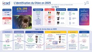 Baromètre I-CAD 2026_Ligne de vie Chien