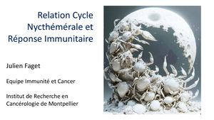 RR Thorax 26 : Relation Cycle Nycthémérale Et Réponse Immunitaire - Julien FAGET