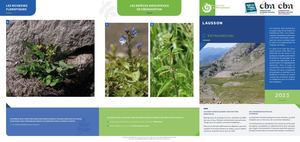 Notice Gestion - 06 - Entraunes - Lausson