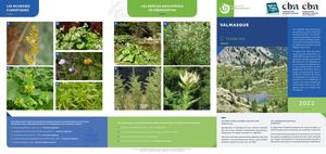 Notice Gestion - 06 - Tende - Valmasque