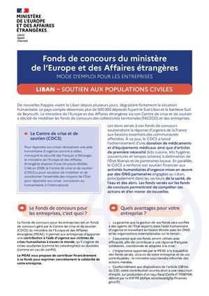 Fonds de concours - Entreprises Liban