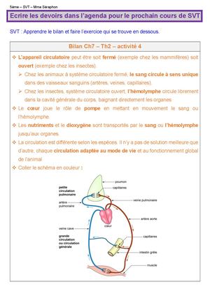5 Ch7 A4 Devoirs