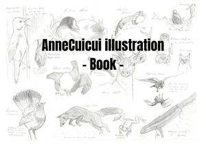 Anne Cuicui Illustration Book