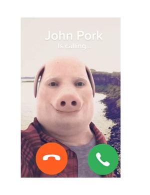 Jon Pork