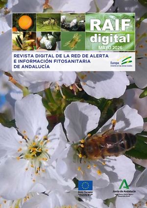 06 Revista Mayo2026 Vinculos