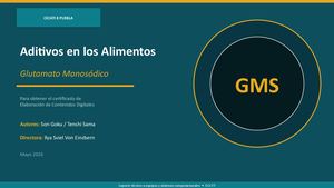 Gms Presentacion