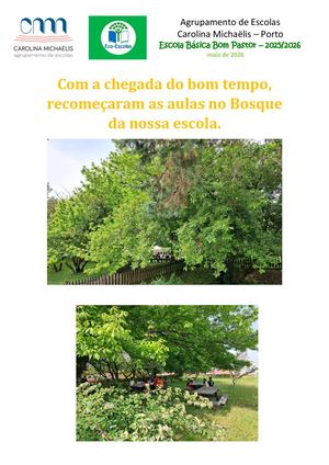 Aulas no Bosque