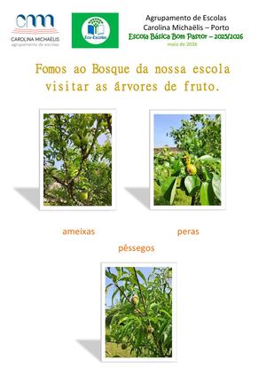 Frutas do Bosque