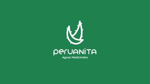 Manual De Marca Peruanita