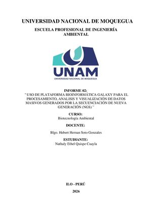 Informe 2