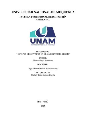 Informe 1