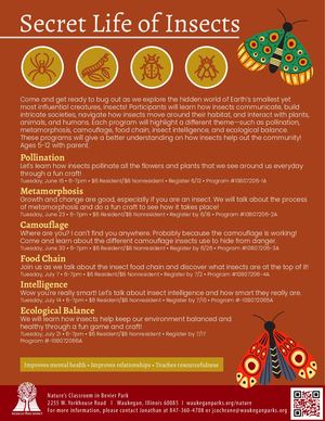 Secret Life Of Insects Flyer