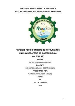 Informe Listo