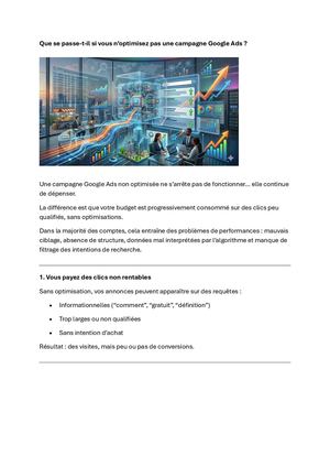 Pdf Campagne Google Ads Non Optimisé