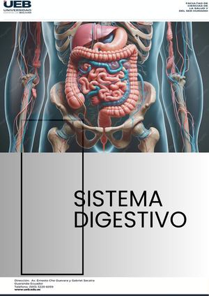 Aparato Del Sistema Digestivo Grupo 4