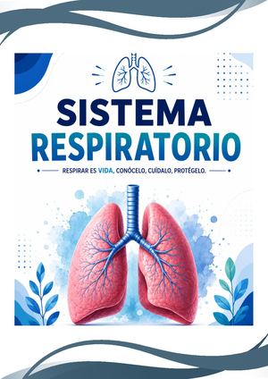 SISTEMA RESPIRATORIO: ORGANOS INTERNOS Y EXTERNOS; VALORES; RUIDOS Y SIBILANCIAS”