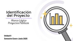 Formulación De Los Proyectos De Inversión Públicos