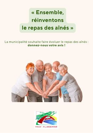 Repas Ainés (7)