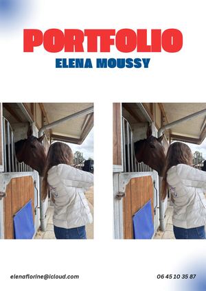 PORTFOLIO ELENA MOUSSY LN